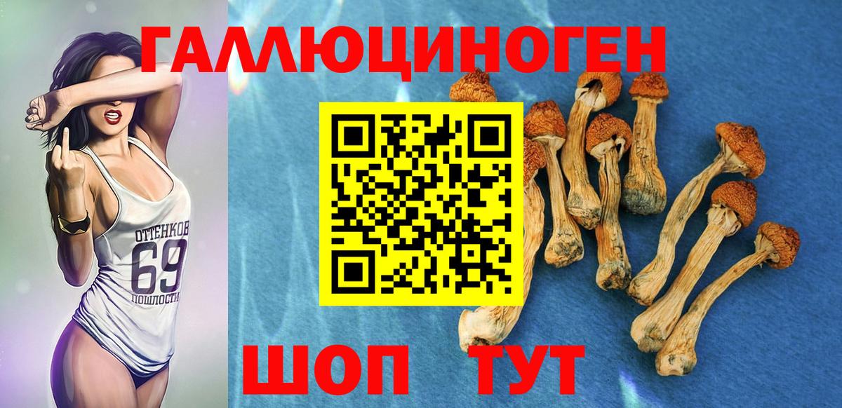 Меф мяу мяу Полевской