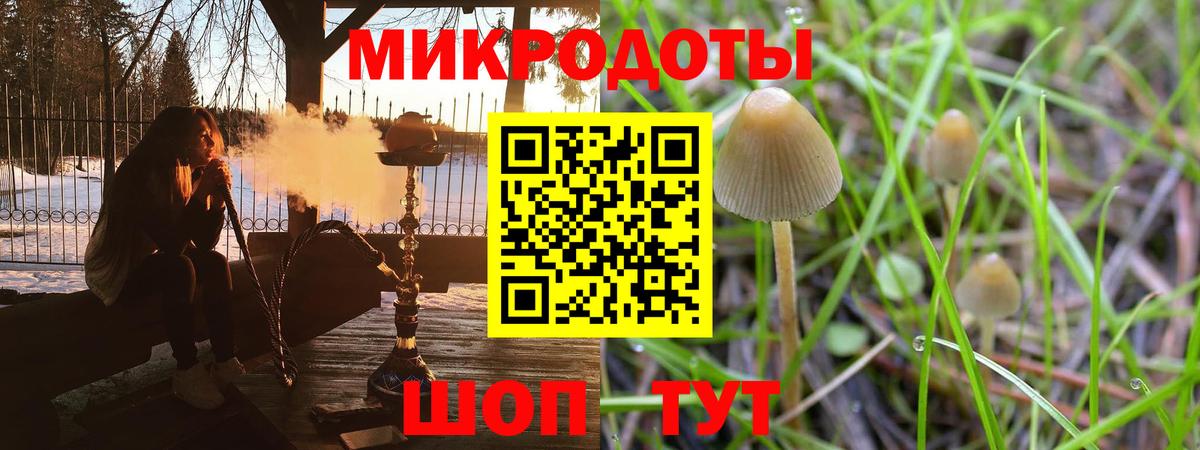 Псилоцибиновые грибы Psilocybe Полевской